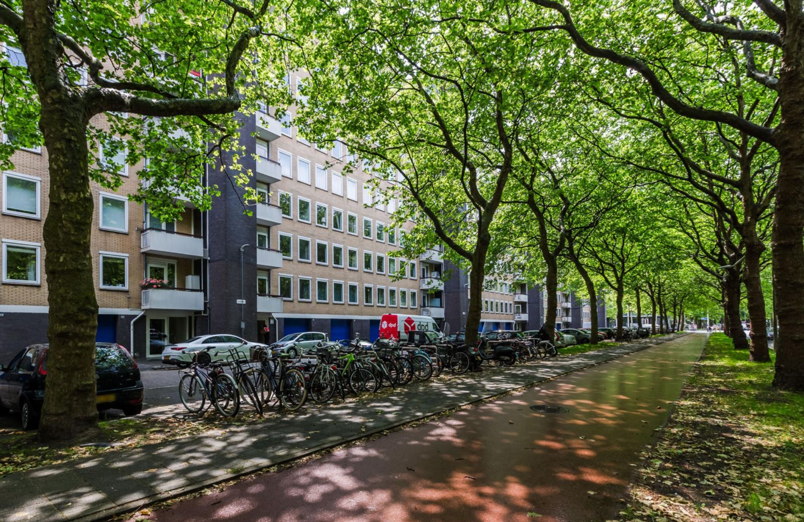 Van Nijenrodeweg image 2